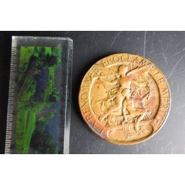 Medaille Geante Exposition Nationale Culinaire Et Gastronomique De Paris 1927 Medaille D'or