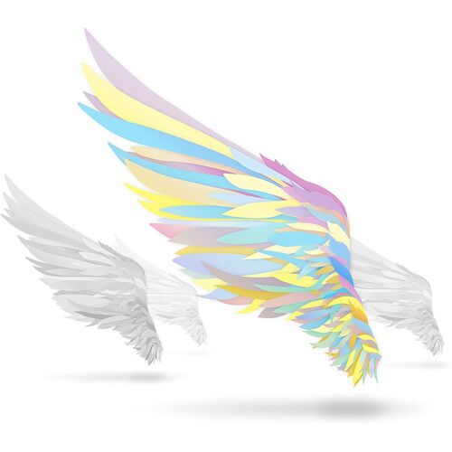 Tsubasa Wo Motsu Mono Not An Angel Just A Dreamer Animation [Cd+Dvd] [Import Japonais]
