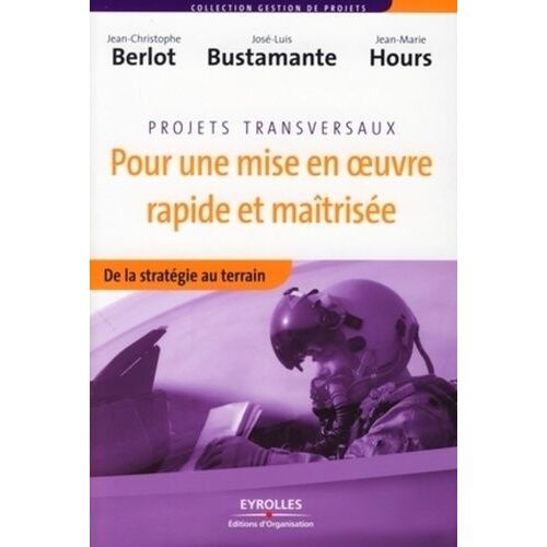 Projets Transversaux Pour Une Mise En Oeuvre Rapide Et Maîtrisée - De La Stratégie Au Terrain