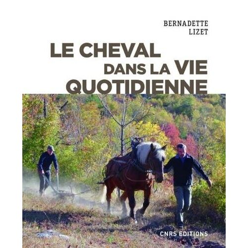 Le Cheval Dans La Vie Quotidienne - Techniques Et Représentations Du Cheval De Travail Dans L'europe Industrielle