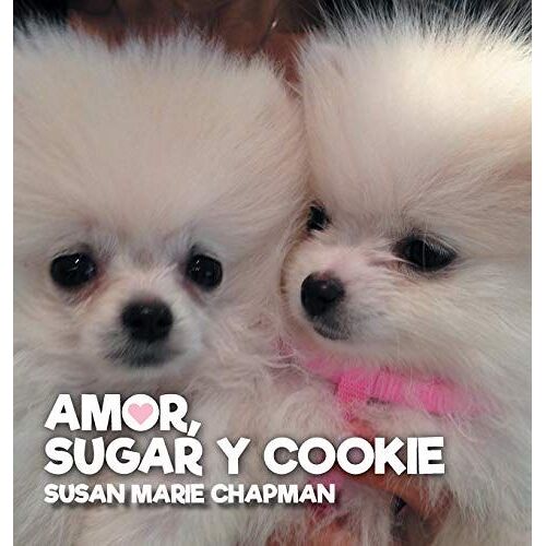 Amor, Sugar Y Cookie