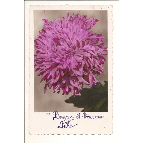 Fleur Chrysanthème 1947