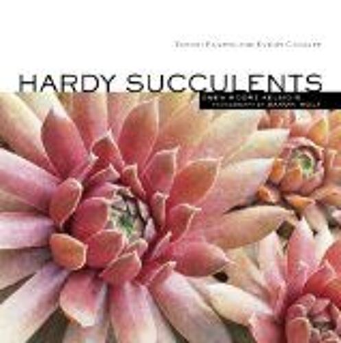 Hardy Succulents
