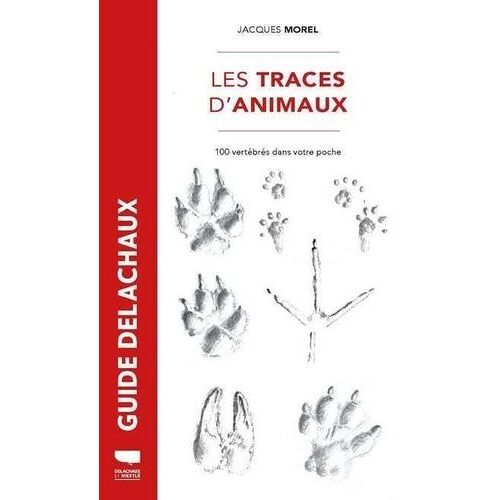 Les Traces D'animaux - 100 Vertébrés Dans Votre Poche