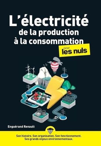 L'électricité De La Production À La Consommation Pour Les Nuls