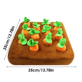 Puzzle En Peluche Pour Chien,12 Pièces,Cache-Cache,Cache-Cache,Jouets De Ferme,Patch Carotte,Reniflard Pour Chiot,Grand Gabarit - Type 12 Carrots 35x35cm