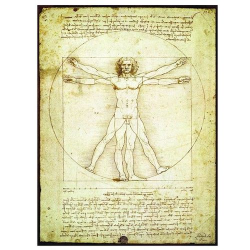 Leonard De Vinci : L'homme De Vitruve - Puzzle 1000 Pièces