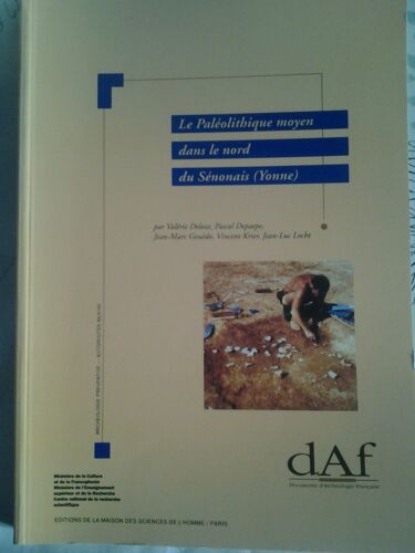La Paléolithique Moyen Dans Le Nord Du Sénonais (Yonne). Contexte Géomorphologique, Industries Lithiques Et Chronostratigraphie