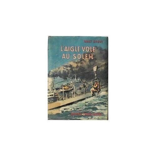 L'aigle Vole Au Soleil
