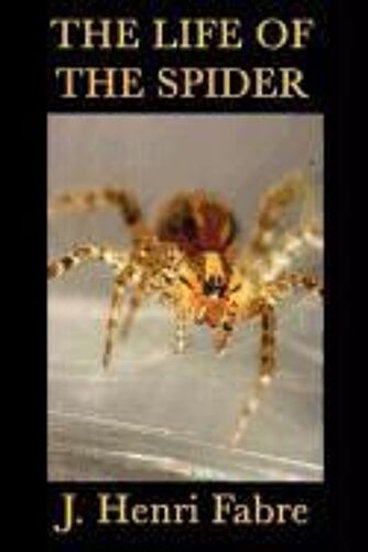 The Life Of The Spider