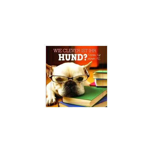 Wie Clever Ist Ihr Hund? Testen Sie Seinen Iq