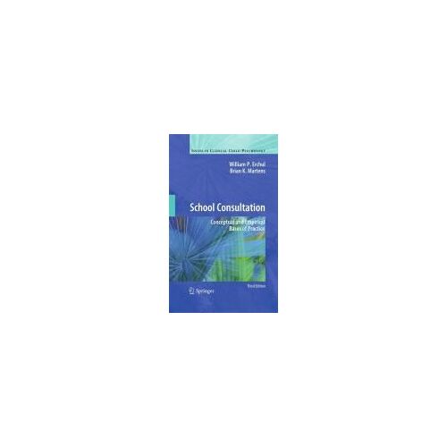 School Consultation