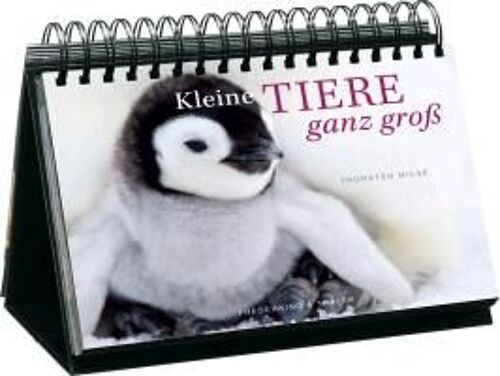 Kleine Tiere Ganz Groß