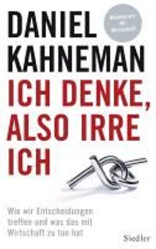 Schnelles Denken, Langsames Denken