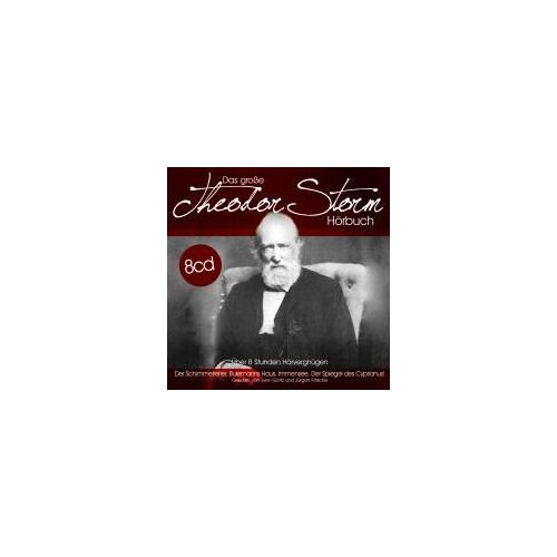 Das Große Theodor Storm Hörbuch