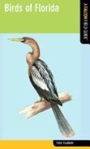 Birds Of Florida