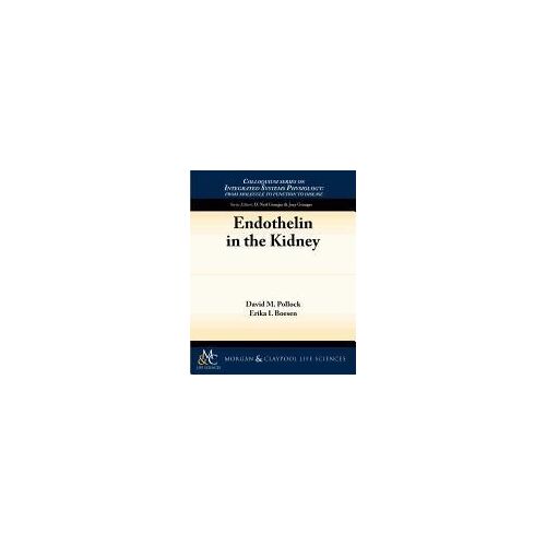 Endothelin In The Kidney