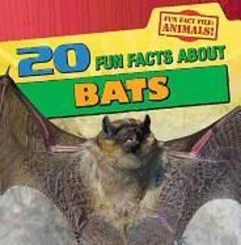 20 Fun Facts About Bats