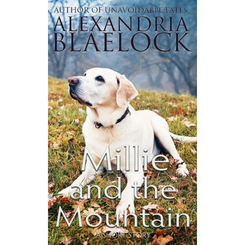 Millie And The Mountain