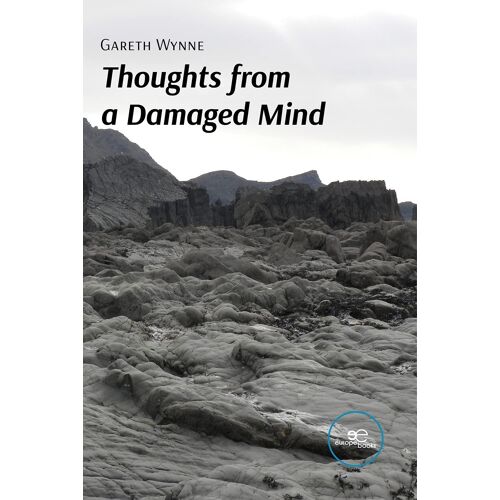 Thoughts From A Damaged Mind