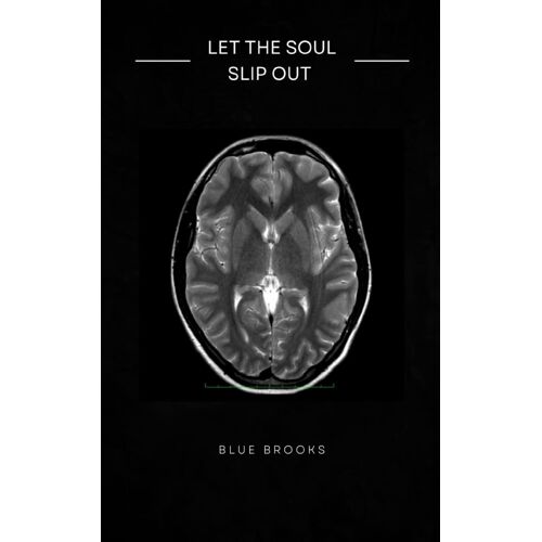 Let The Soul Slip Out