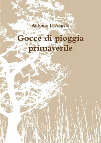 Gocce Di Pioggia Primaverile