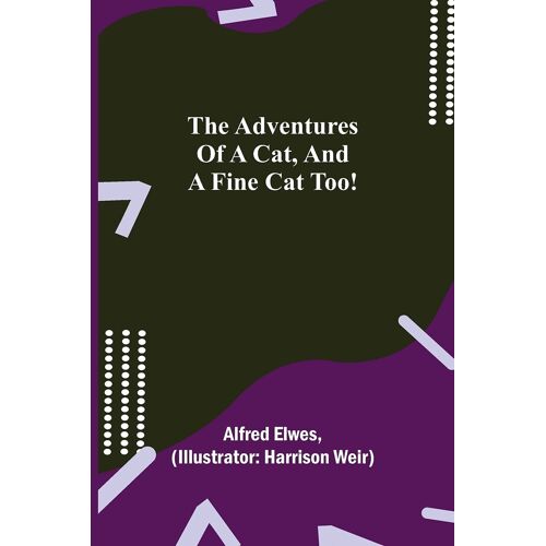The Adventures Of A Cat, And A Fine Cat Too!