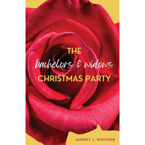 The Bachelors And Widows Christmas Party