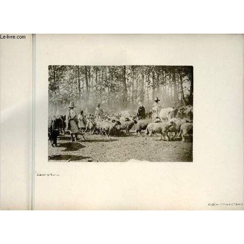 Marché De Boufarik - Une Photogravure En Monochrome Extraite De La Revue Mensuelle L Algérie Artistique Et Pittoresque (Vers 1890).