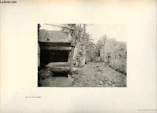 Rue Du Vieux Biskra - Une Photogravure En Monochrome Extraite De La Revue Mensuelle L Algérie Artistique Et Pittoresque (Vers 1890).