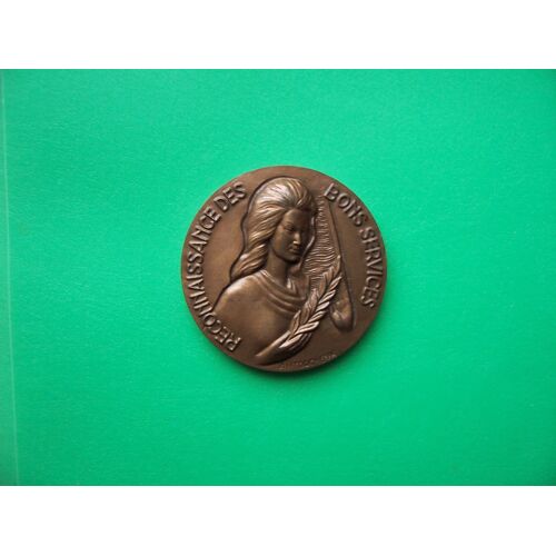 Médaille Bronze Reconnaissance Des Bons Services