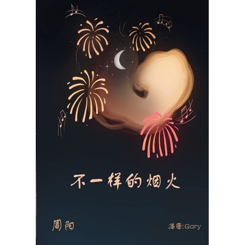 Another Kind Of Firework
