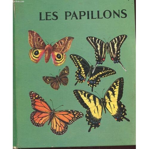 Les Papillons. Les Plus Beaux Et Les Plus Grands Des Insectes