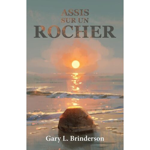 Assis Sur Un Rocher