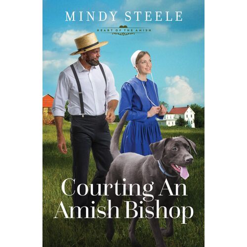 Courting An Amish Bishop