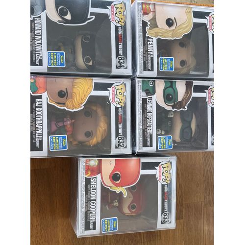 Lots Pop Funko The Big Bang Theory