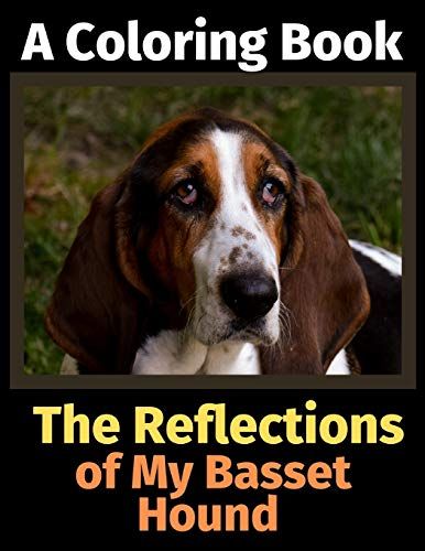 The Reflections Of My Basset Hound: A Coloring Book