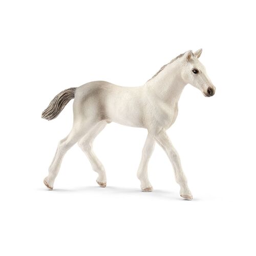 Horse Club Poulain Holstein