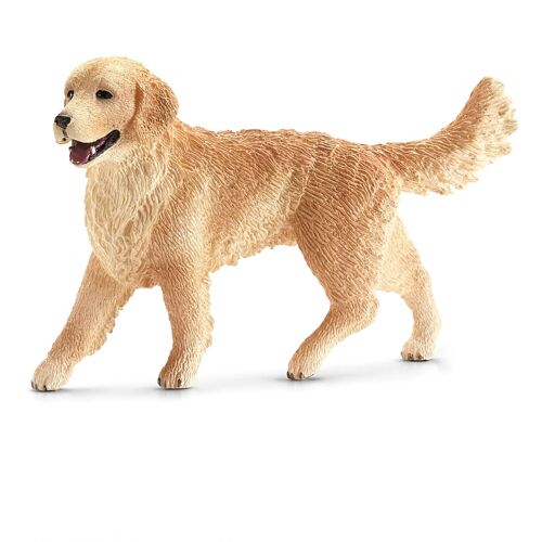 Farm World Golden Retriever, Femelle