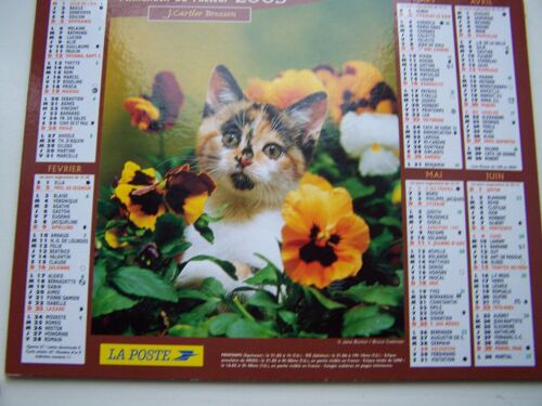 Almanach Du Facteur  La Poste  2003 - Epagneul Papillon Chat Dans Les Pensées - Vosges N°88 - Cartier Bresson