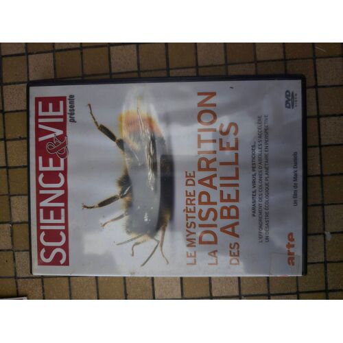 Le Mystère De La Disparition Des Abeilles