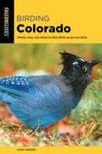 Birding Colorado