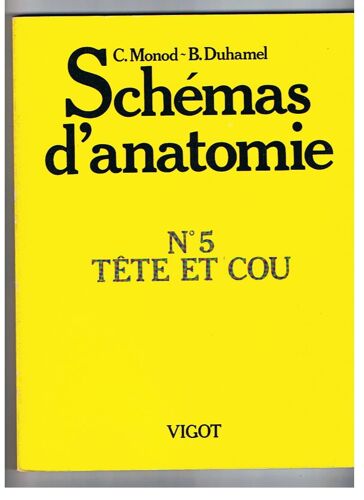 Schémas D'anatomie N° 5 - Tête Et Cou