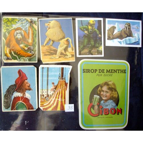 Lot Anciennes Vignettes