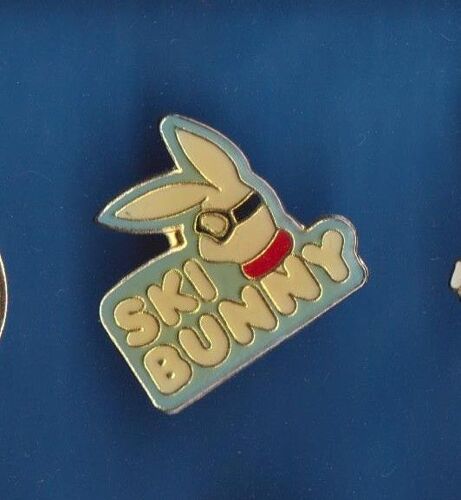 Ski Lapin Rabbit Bunny Pin's Pin Ref 4047b