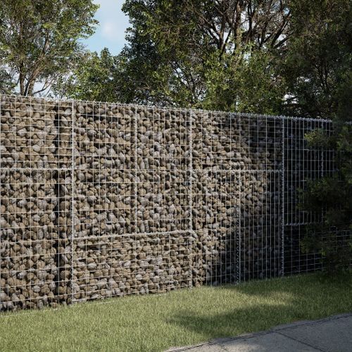 Vidaxl Panier Gabion Avec Couvercle 200x50x150 Cm Fer Galvanisé