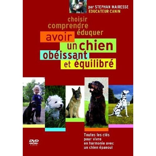 Avoir Un Chien Obéissant Et Équilibré