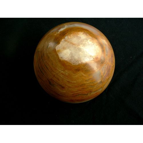 Sphère En Bois Fossile