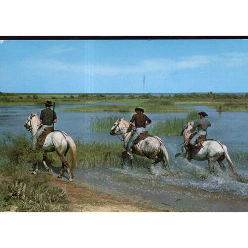 Carte Postale De Méjanes (Bouches Du Rhône) La Camargue : Cavaliers Camarguais Sur Les Bords Du Vaccarès