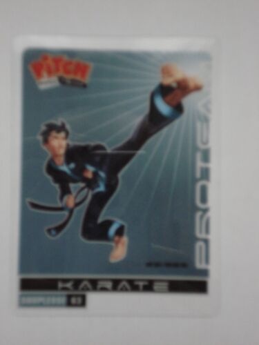 Carte Pitch Karate Souplesse 63 Proteam